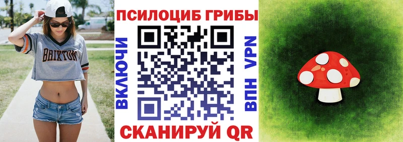 Галлюциногенные грибы мухоморы  купить наркоту  блэк спрут сайт  Алексин 