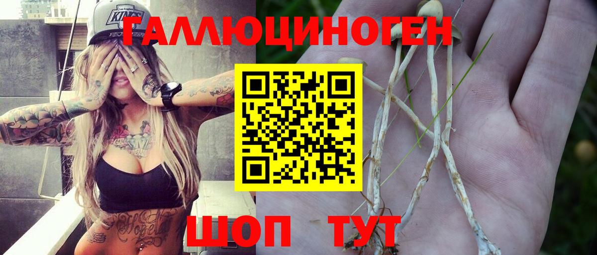 Алексин  Галлюциногенные грибы прущие грибы  Вход с VPN 